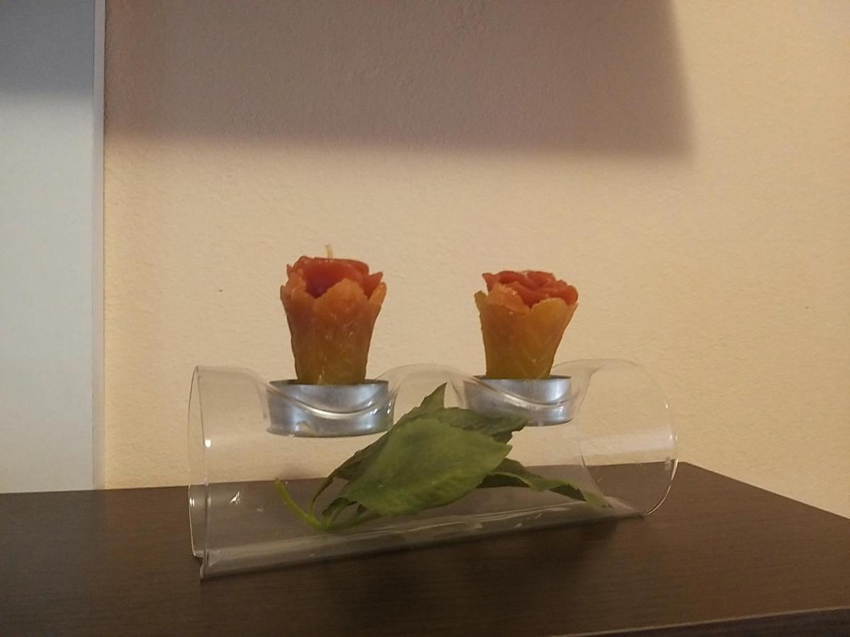 Sunny Apartment Jukic With Sea View Zadar Ngoại thất bức ảnh